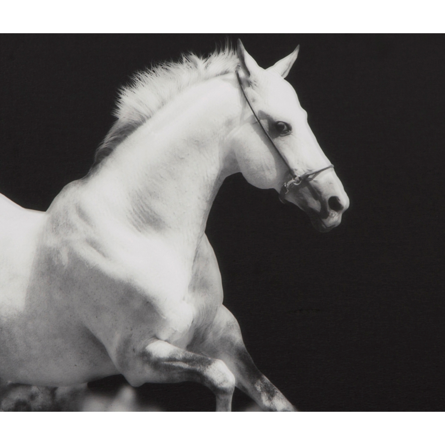 AT CAM BASKI ÇERÇEVELİ PANO 60X105 CM