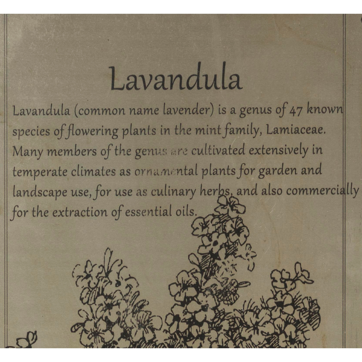 FERRO METAL PANO LAVANTA 37X84CM