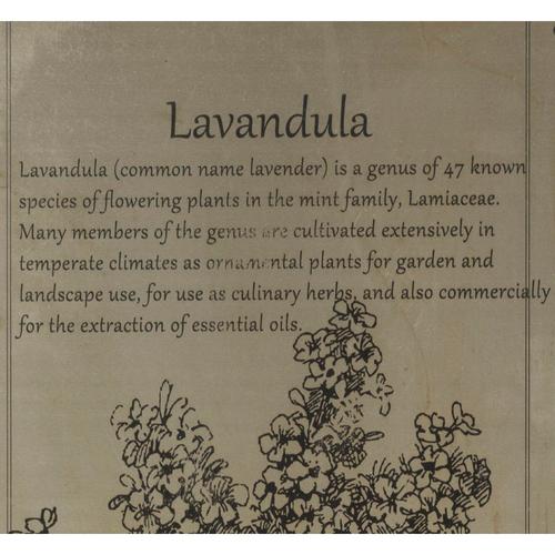  FERRO METAL PANO LAVANTA 37X84CM