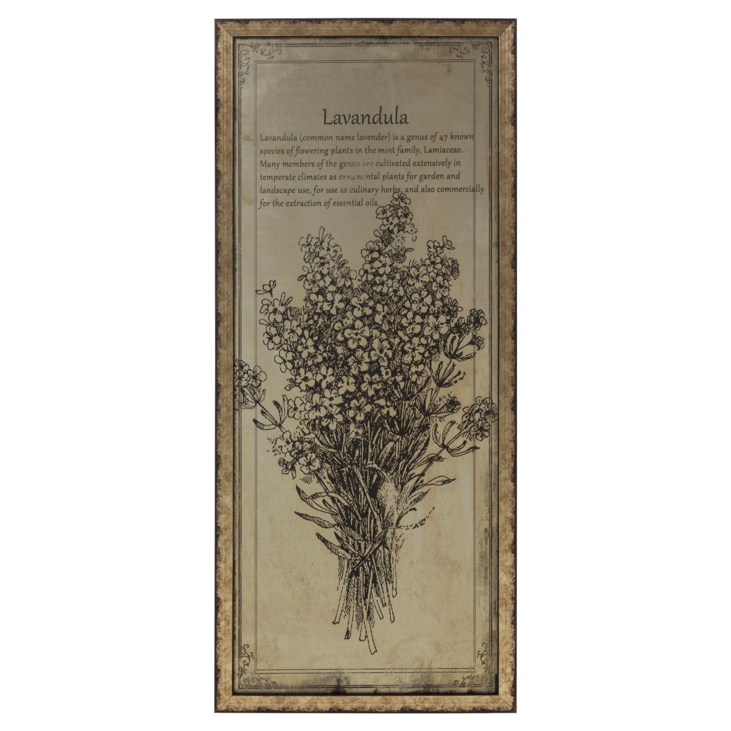 FERRO METAL PANO LAVANTA 37X84CM