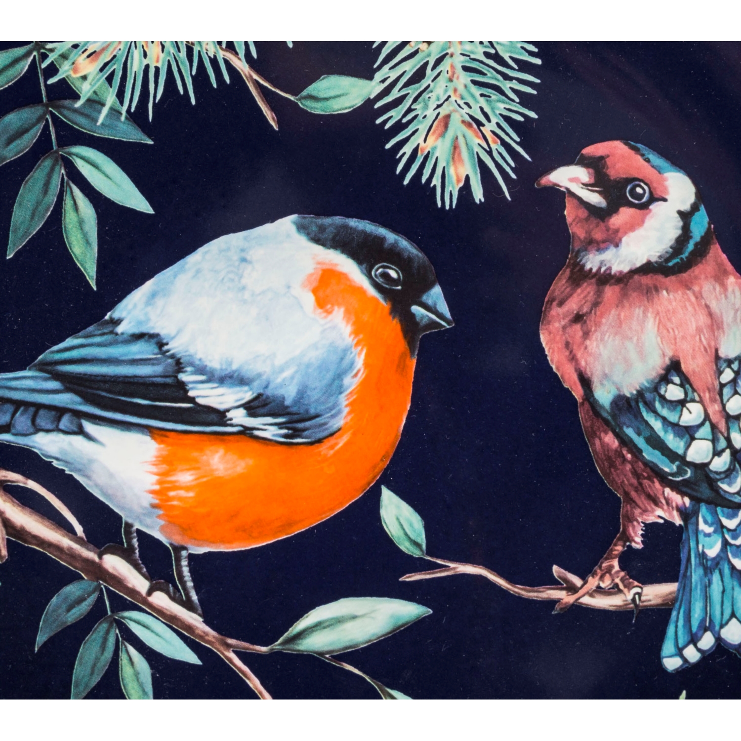 FOREST BIRD  SUPLA 32 CM