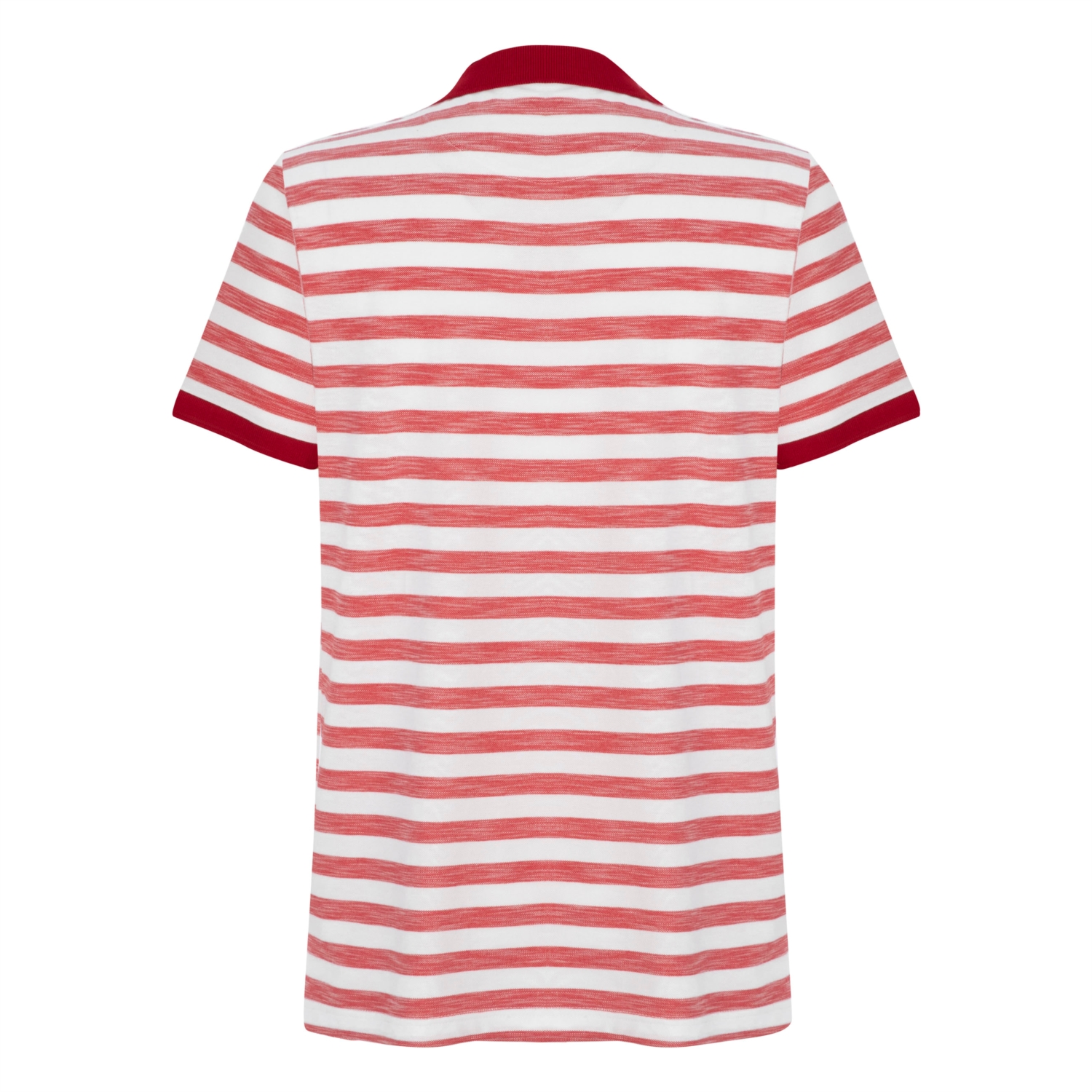 POLO YAKA KISA KOLLU T-SHIRT