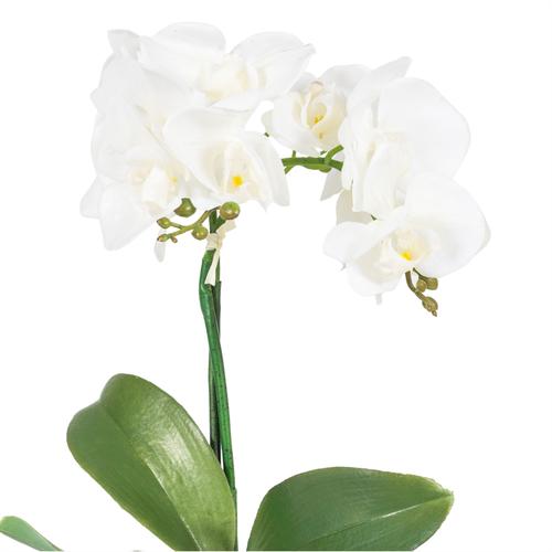  SAKSILI YAPAY ORKİDE BEYAZ 42 CM