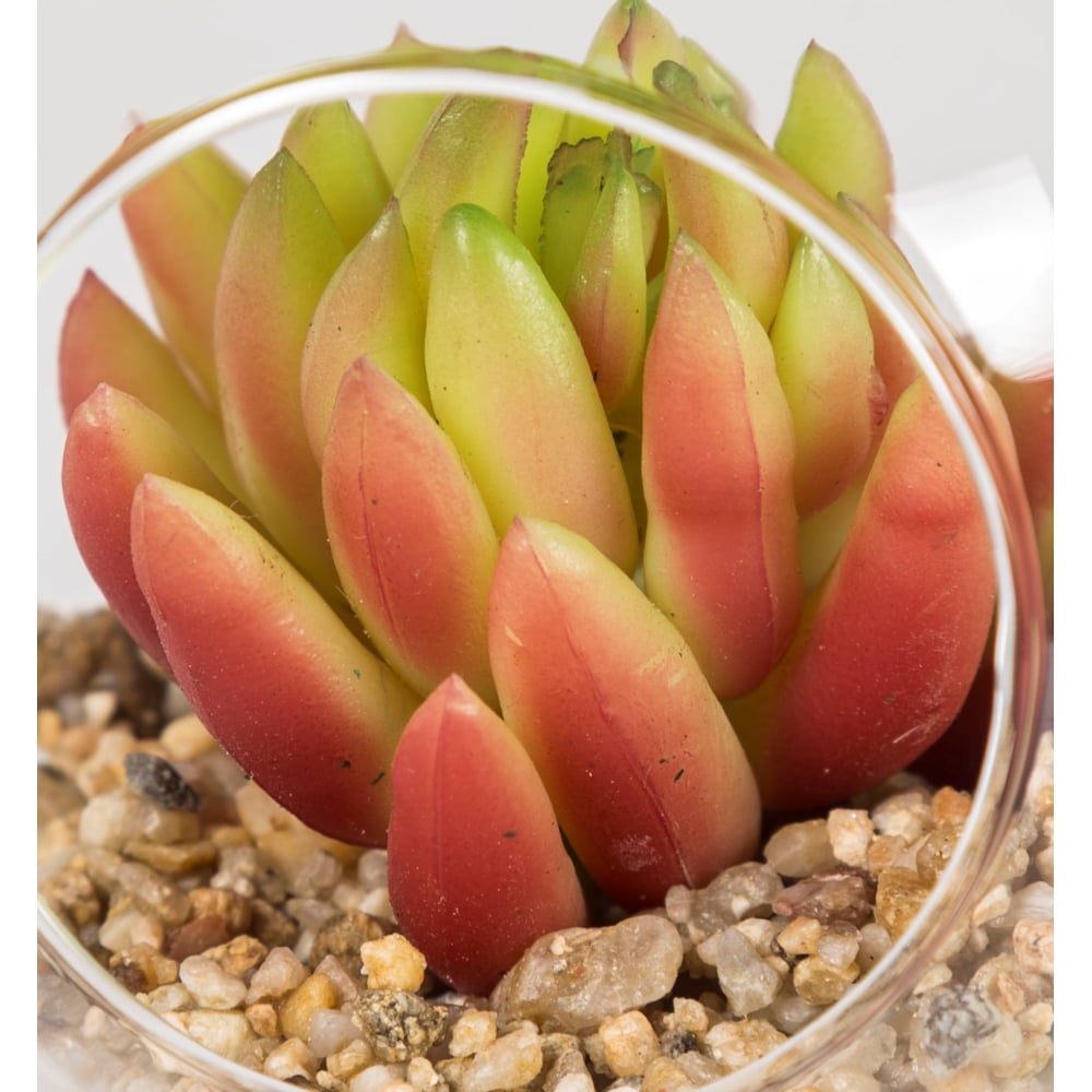 YAPAY SUKULENT CAM TERARYUM 8 CM