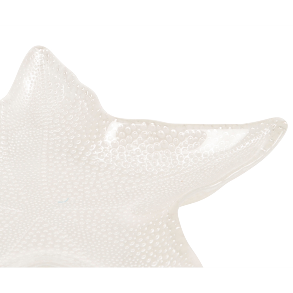 BÜYÜK BEYAZ YILDIZ TABAK