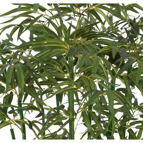  YEŞİL BAMBU AĞACI