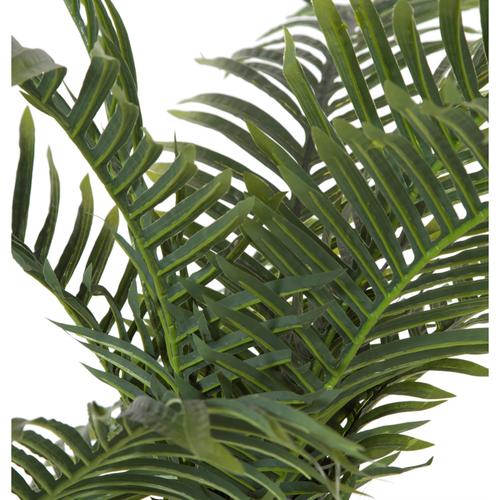  ÜÇLÜ AREKA AĞACI