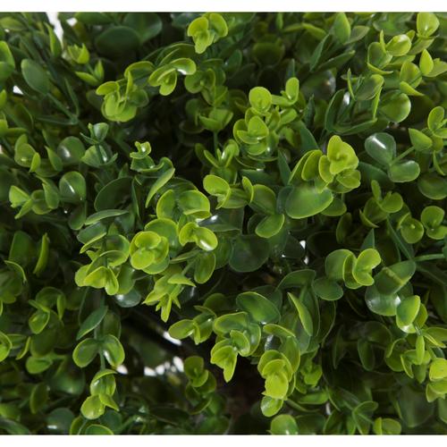  ÜÇLÜ ŞİMŞİR AĞAÇ