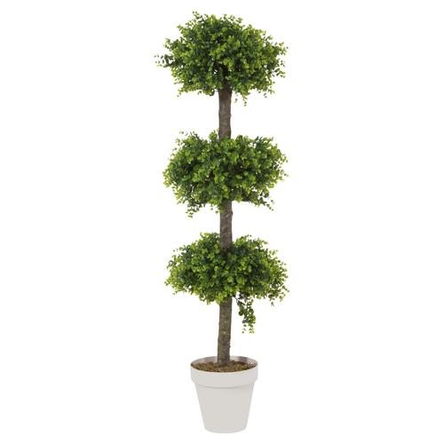  ÜÇLÜ ŞİMŞİR AĞAÇ