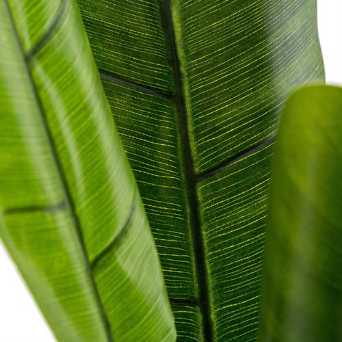  YAPAY MUZ AĞACI 98X110CM