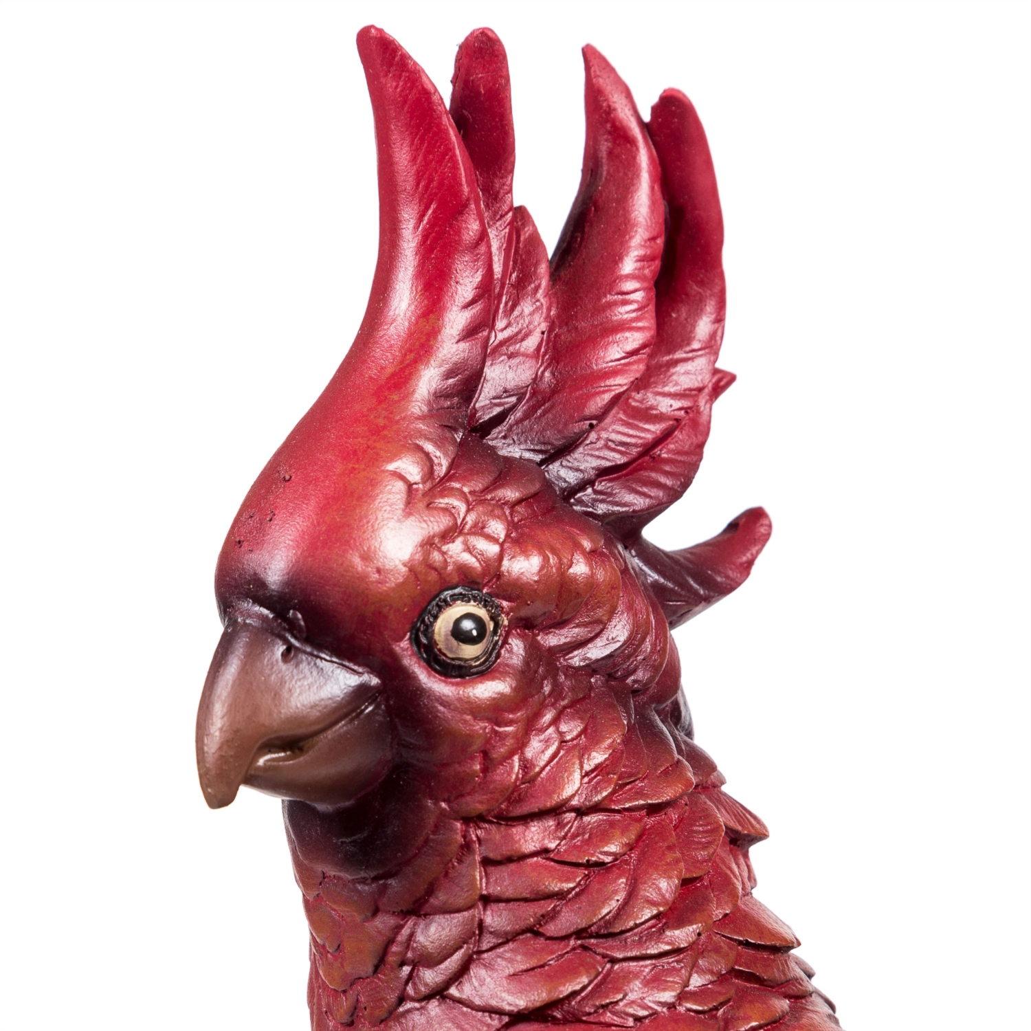 PAPAĞAN BİBLO 51 CM