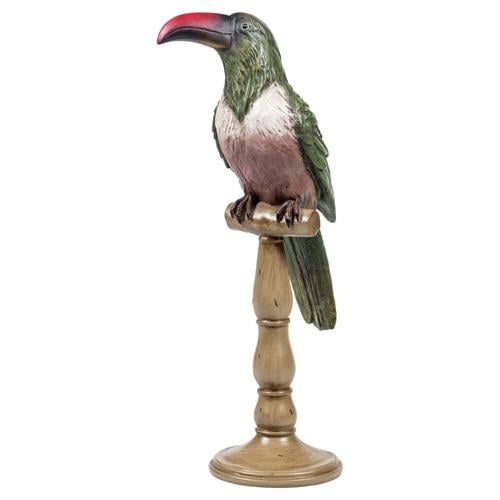  PAPAĞAN BİBLO 51 CM