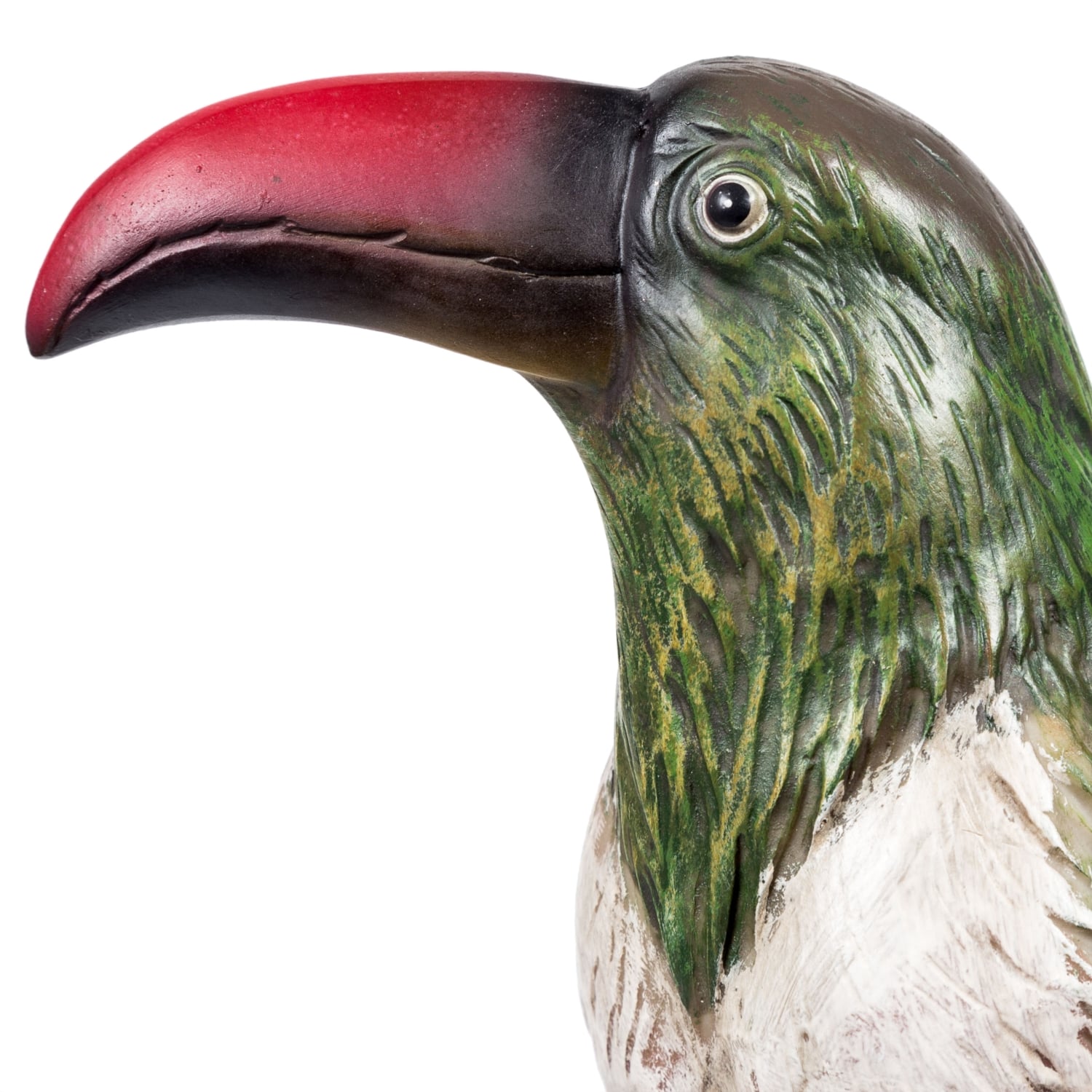 PAPAĞAN BİBLO 51 CM