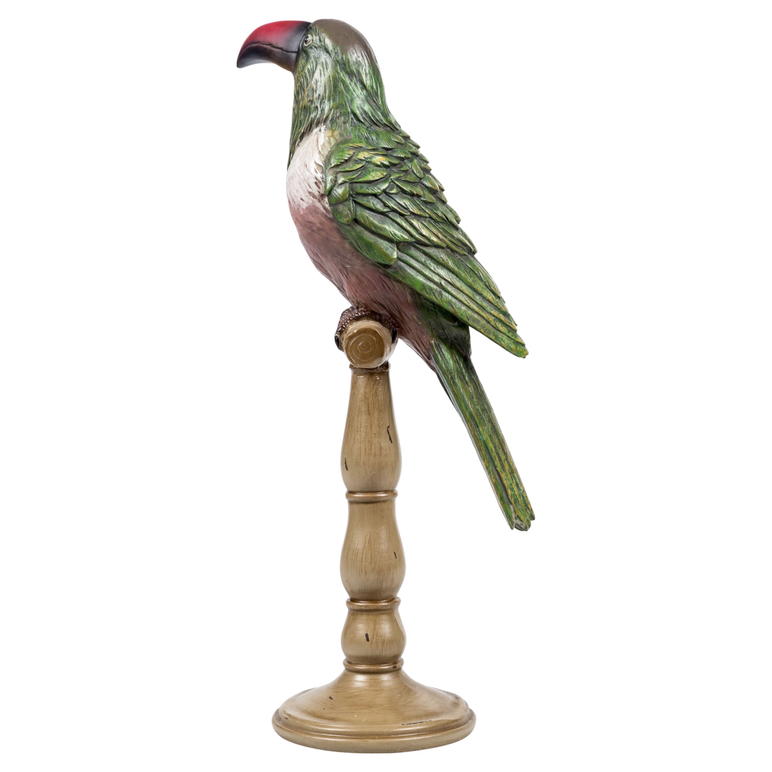 PAPAĞAN BİBLO 51 CM