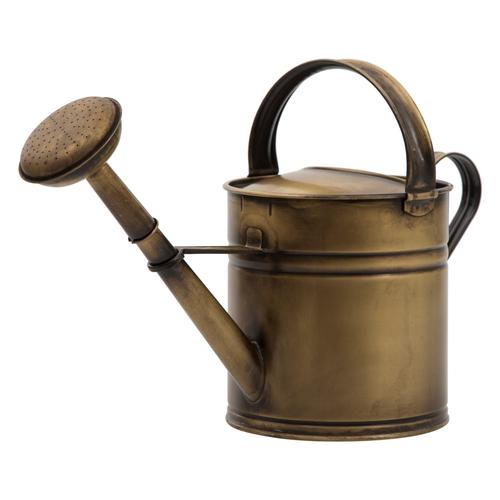  GOLD ESKİTME SULAK 5 LT