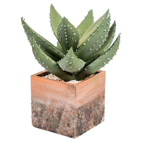  ABALOS SAKSILI YAPAY SUKULENT 19CM