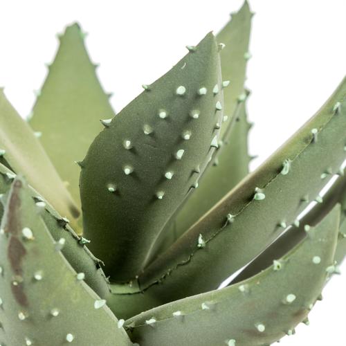  ABALOS SAKSILI YAPAY SUKULENT 19CM