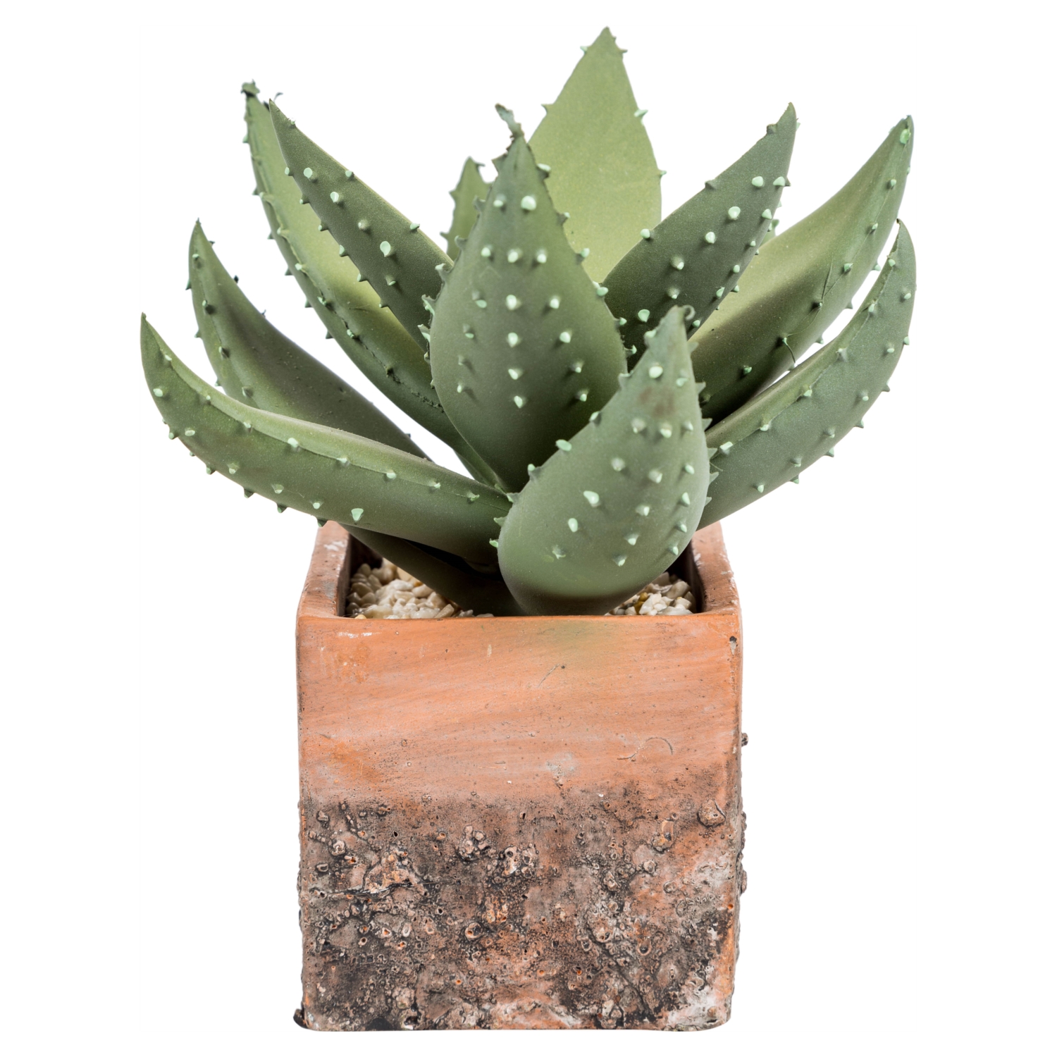 ABALOS SAKSILI YAPAY SUKULENT 19CM