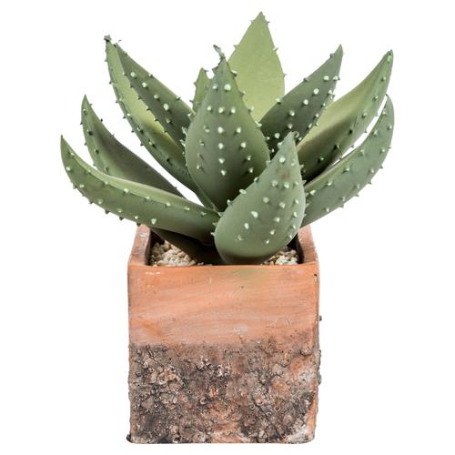  ABALOS SAKSILI YAPAY SUKULENT 19CM