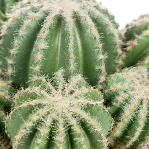  BLOOM SAKSILI YAPAY KAKTÜS 24CM