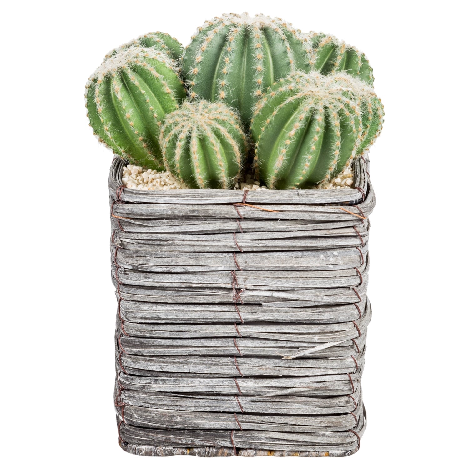 BLOOM SAKSILI YAPAY KAKTÜS 24CM