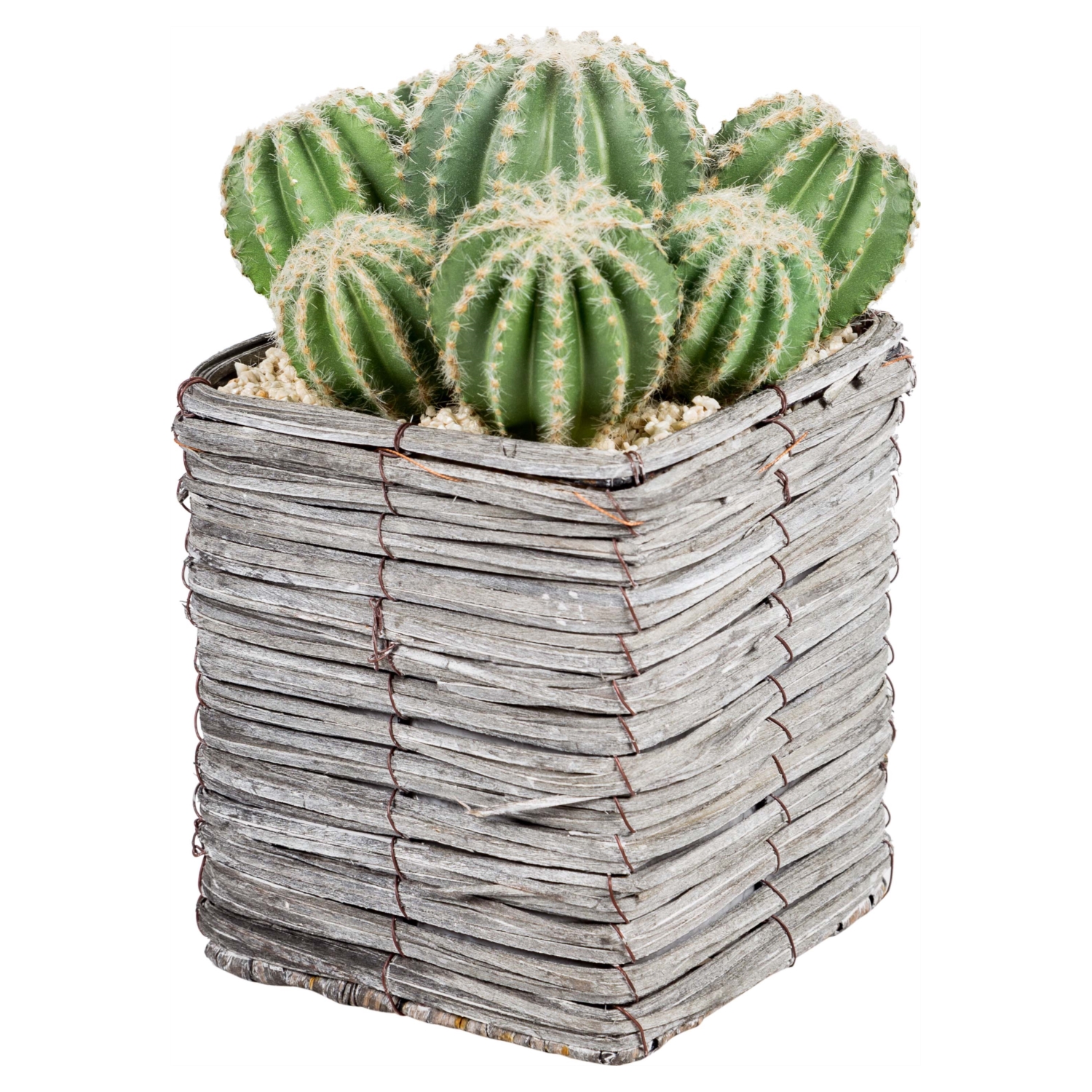 BLOOM SAKSILI YAPAY KAKTÜS 24CM