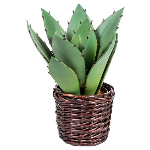  BARSTOW SAKSILI YAPAY ALOEVERA 32CM