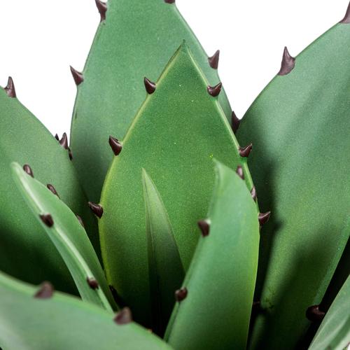  BARSTOW SAKSILI YAPAY ALOEVERA 32CM