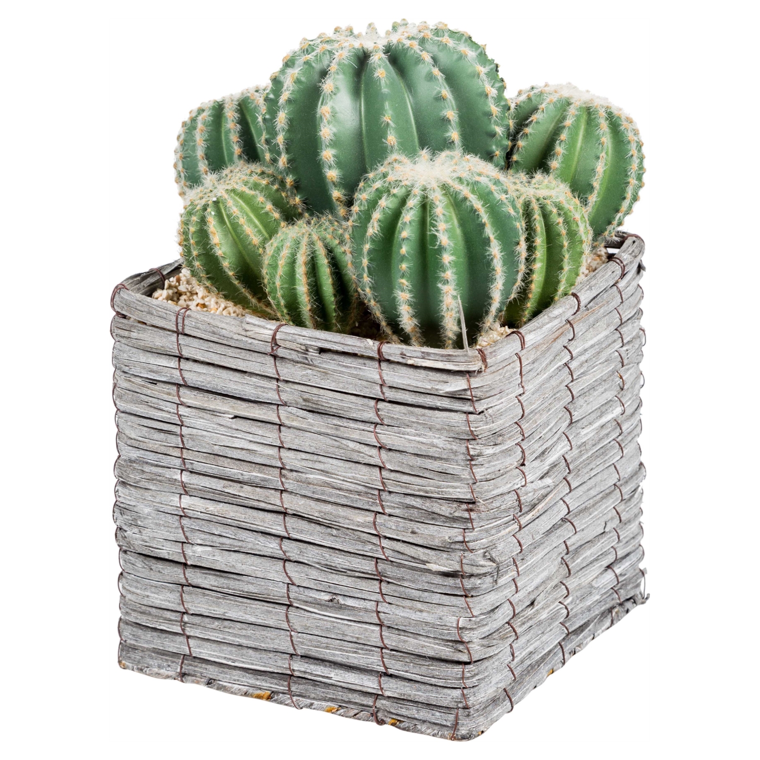 BLOOM SAKSILI YAPAY KAKTÜS 31CM