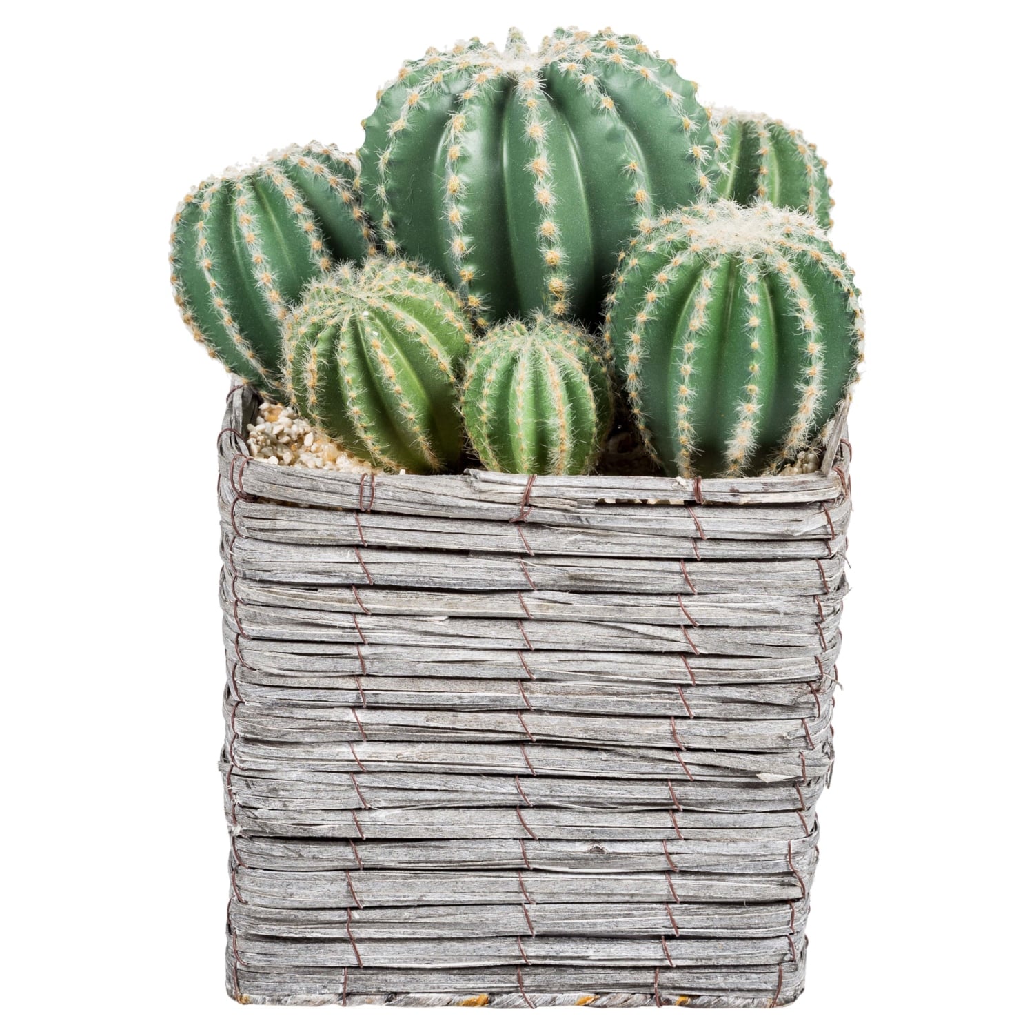 BLOOM SAKSILI YAPAY KAKTÜS 31CM