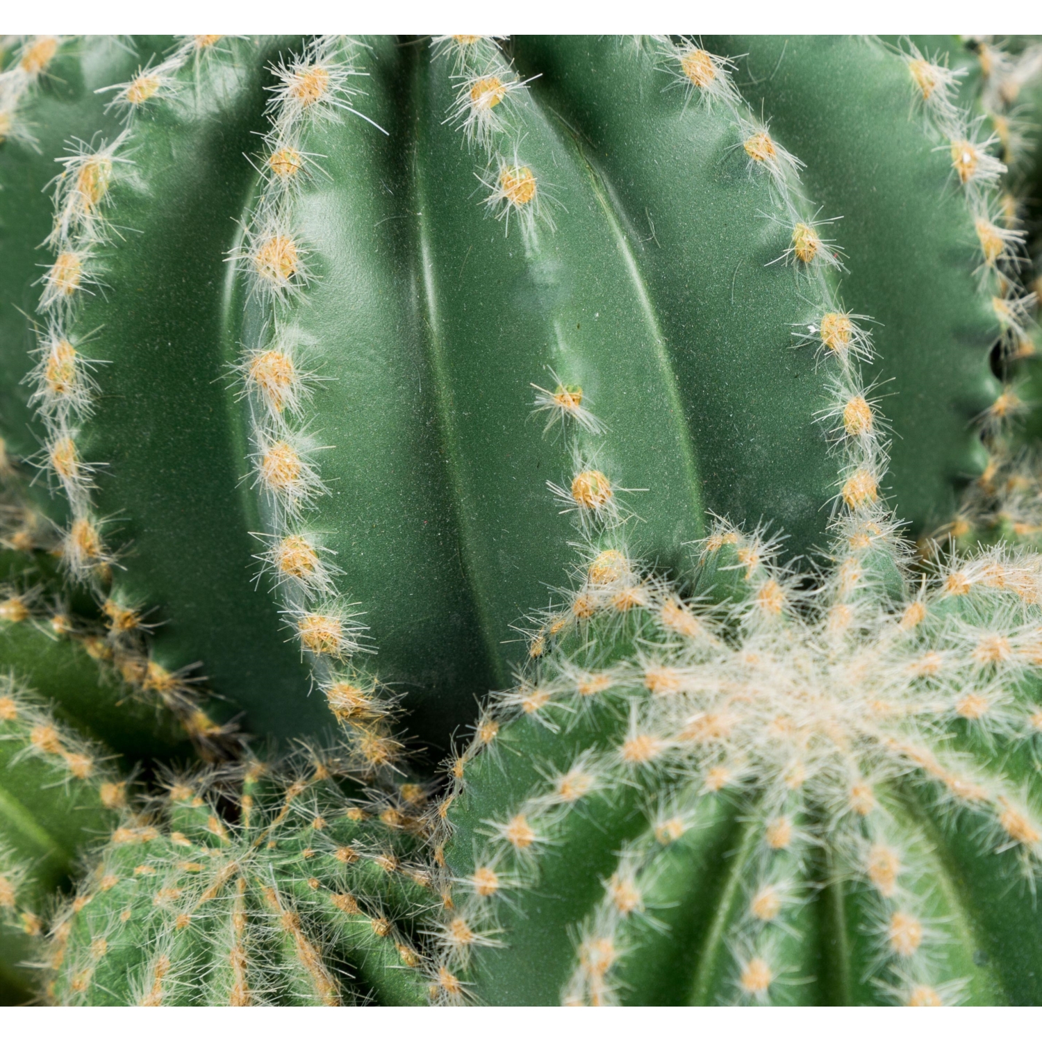 BLOOM SAKSILI YAPAY KAKTÜS 31CM