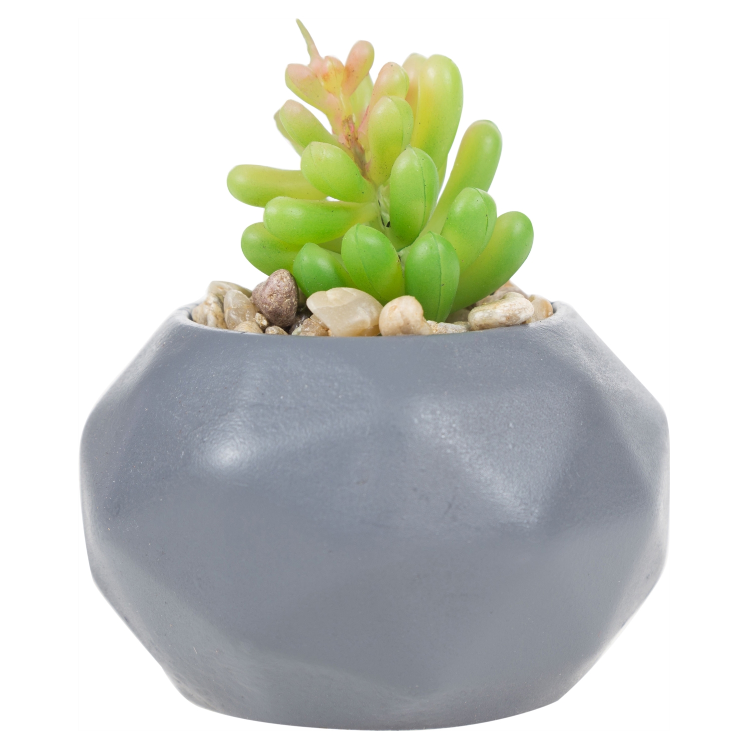 MERKÜR SUKULENT GRİ 12x8 CM