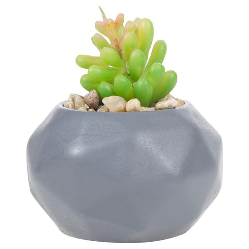  MERKÜR SUKULENT GRİ 12x8 CM