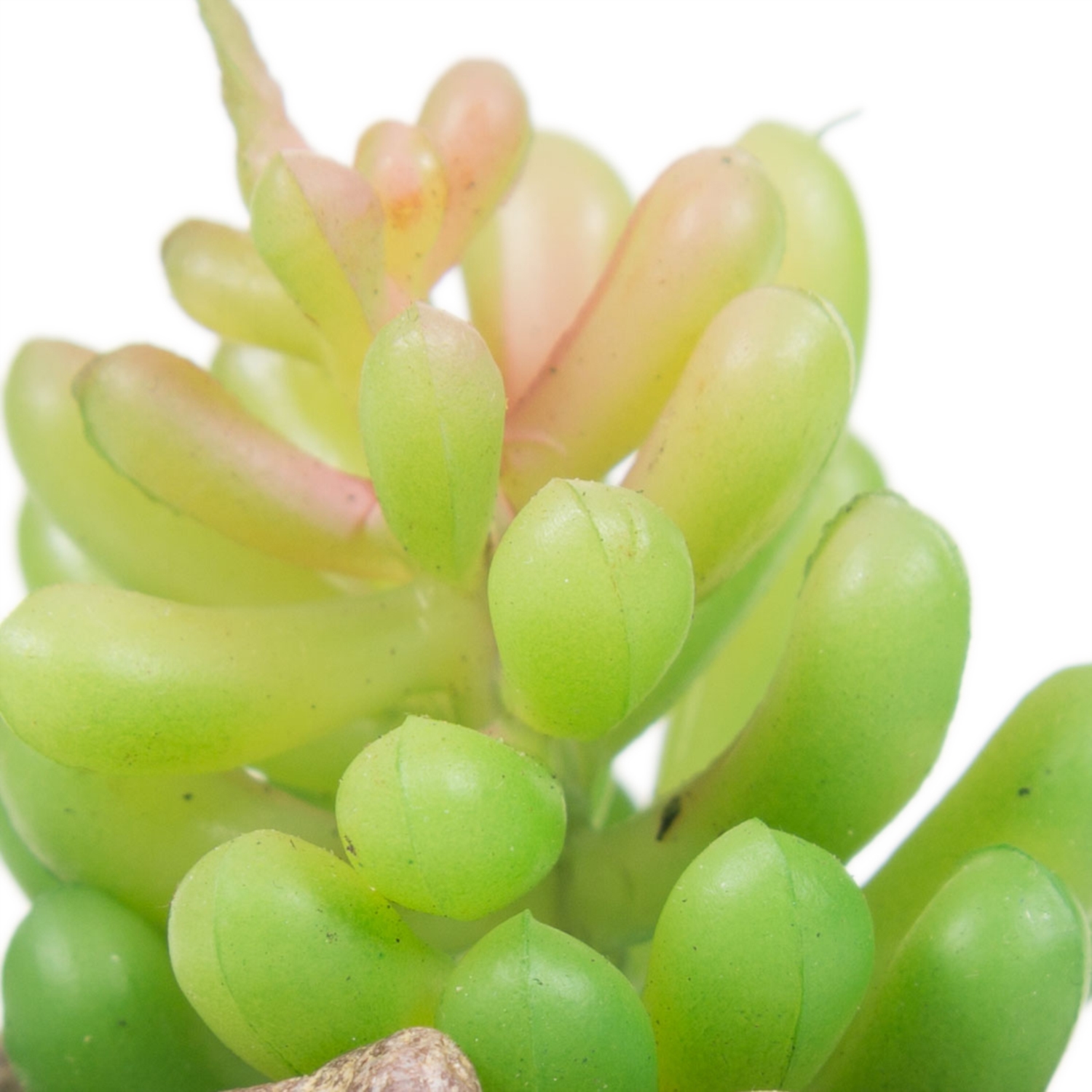 MERKÜR SUKULENT GRİ 12x8 CM