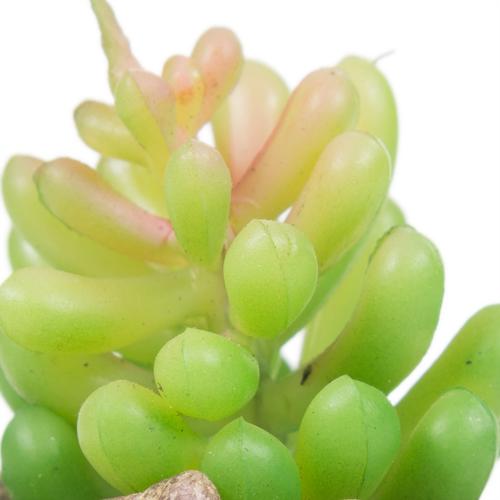  MERKÜR SUKULENT GRİ 12x8 CM