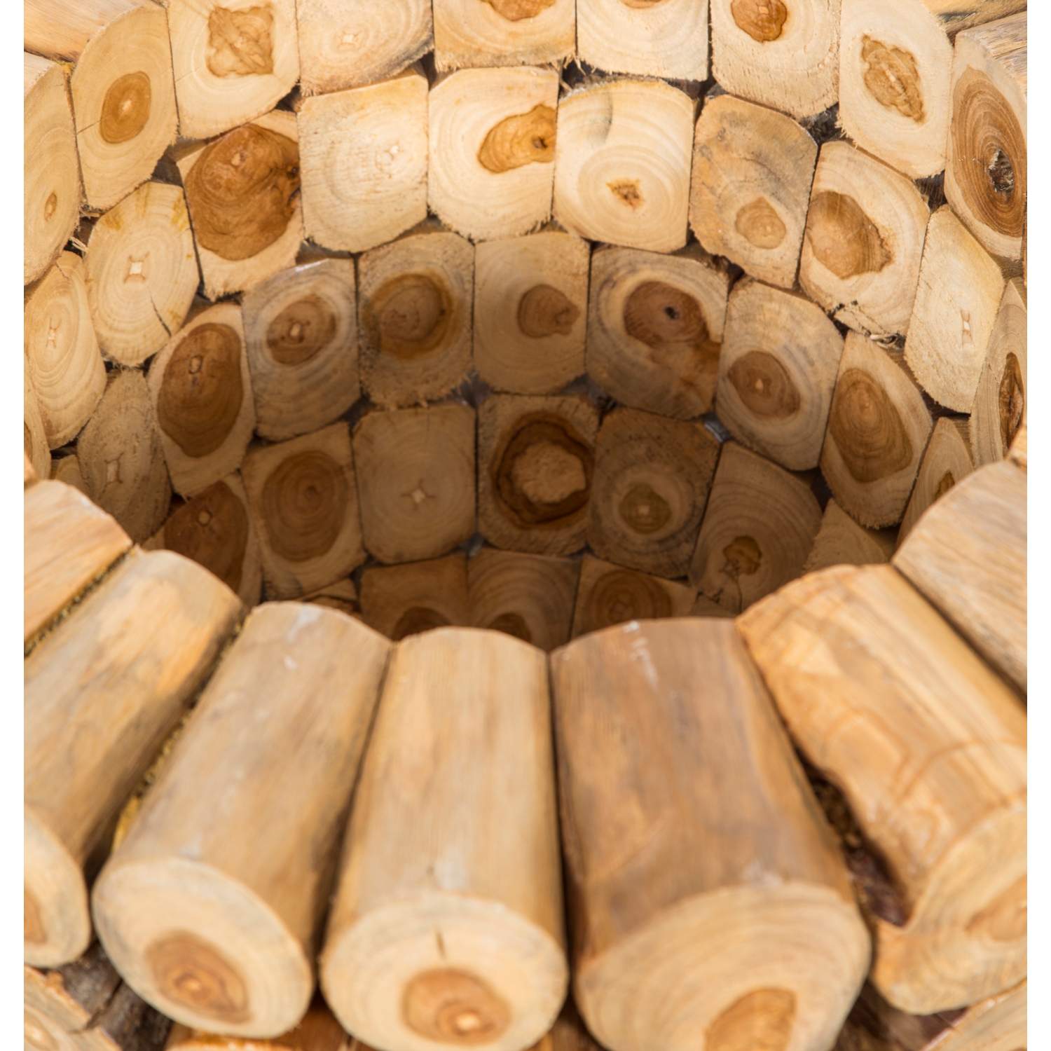 PRIMITIVE TİK AĞACI SAKSI KÜÇÜK