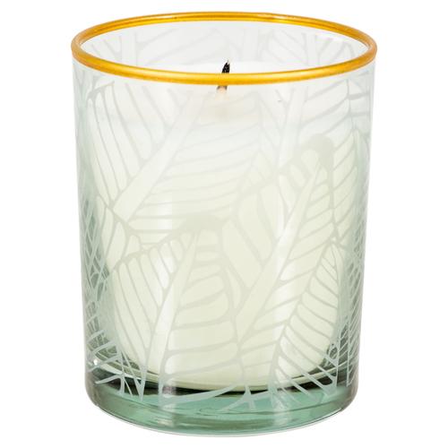  LEAF KOKULU CAM BARDAK MUM YEŞİL