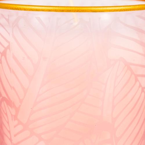  LEAF  KOKULU CAM BARDAK MUM PEMBE