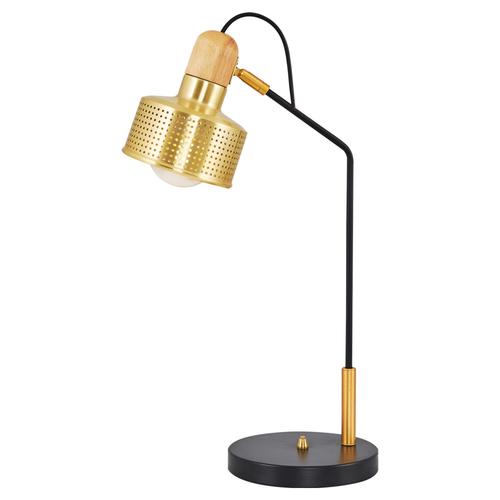  RAYNA ÇALIŞMA  LAMBASI