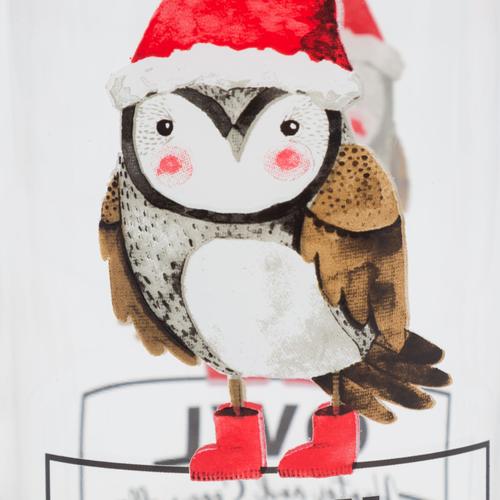  BAŞUCU SÜRAHİSİ 700 ML - OWL