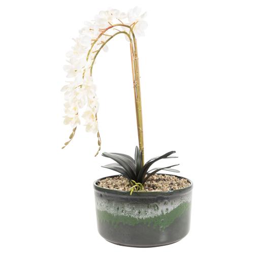  SAKSILI BEYAZ ORKİDE 27X15CM