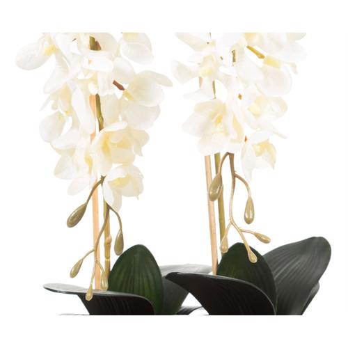  SAKSILI BEYAZ ORKİDE 27X15CM