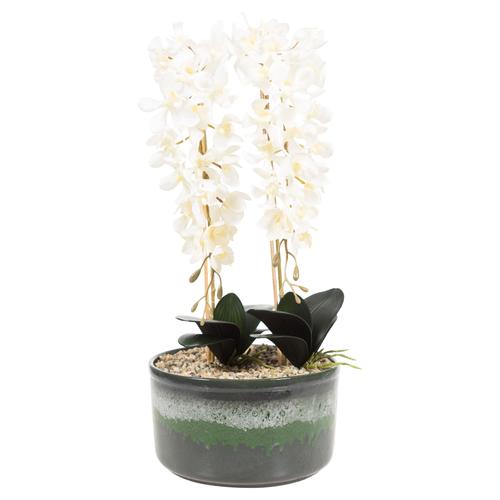  SAKSILI BEYAZ ORKİDE 27X15CM