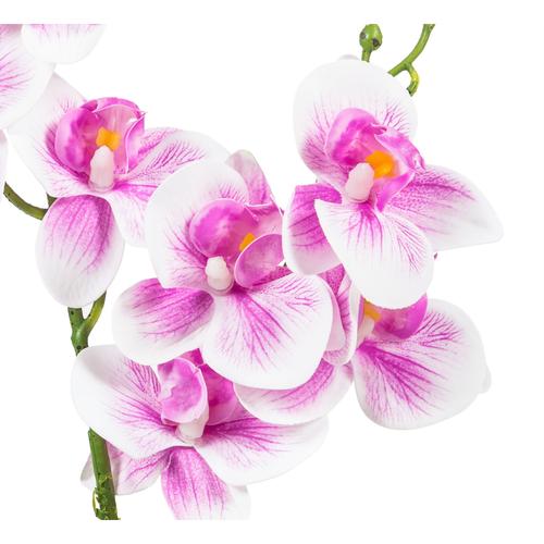  MİNİ SAKSILI MOR ORKİDE