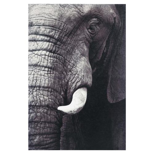  ELEPHANT IN BLACK KANVAS TABLO 60X90CM