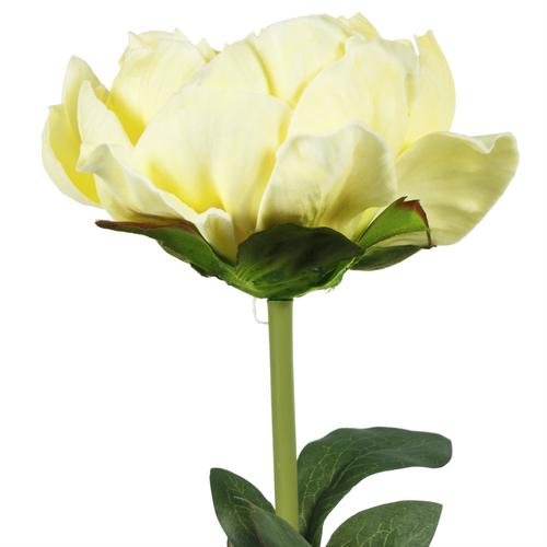  SINGLE PEONY SARI DAL ÇİÇEK - 74CM