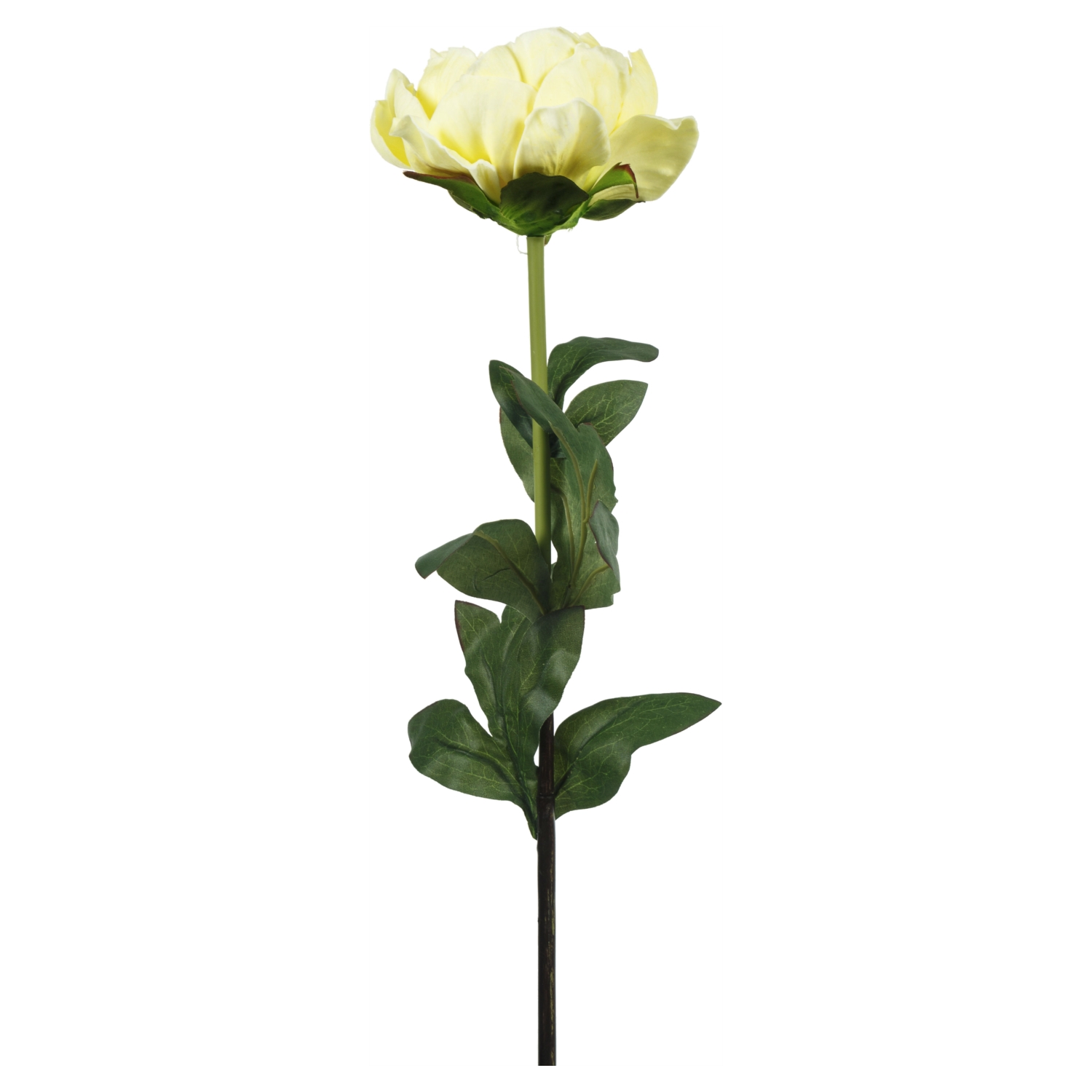 SINGLE PEONY SARI DAL ÇİÇEK - 74CM
