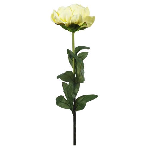  SINGLE PEONY SARI DAL ÇİÇEK - 74CM