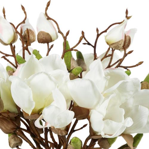  MAGNOLIA BUSH BEYAZ DAL ÇİÇEK - 51CM