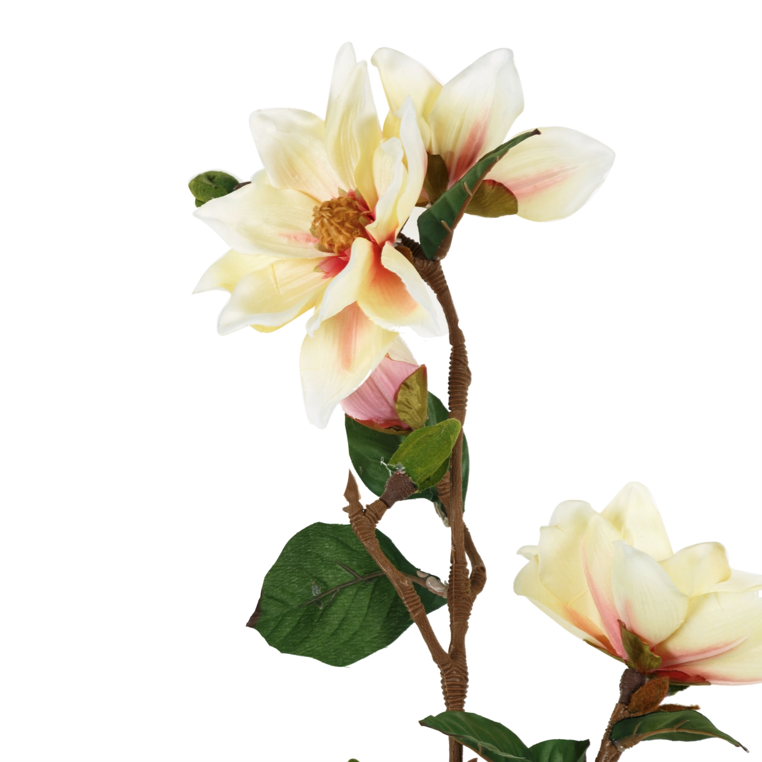 MAGNOLIA YULAN BEJ DAL ÇİÇEK- 101CM